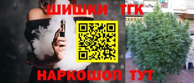 индика Рыбинск