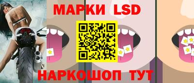 индика Рыбинск