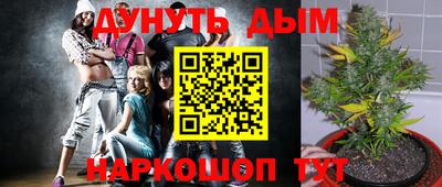 индика Рыбинск
