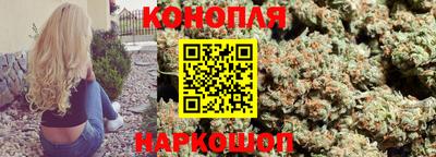 индика Рыбинск