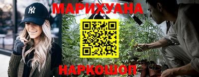 индика Рыбинск